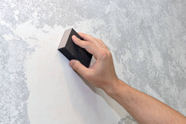 Best Comprehensive Air Testing for Mold Contaminants  in Blauvelt, NY