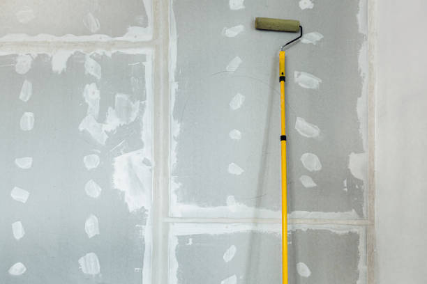 Biohazard Mold Removal in Blauvelt, NY