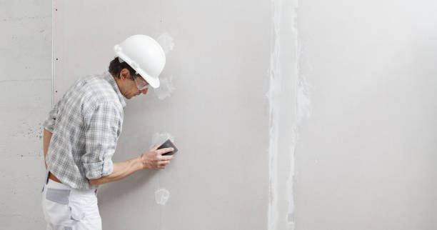 Best Emergency Mold Remediation  in Blauvelt, NY