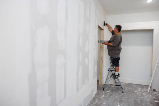 Best Mold Odor Removal Services  in Blauvelt, NY