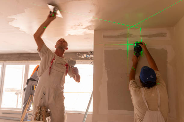 Blauvelt, NY Mold Removal Company