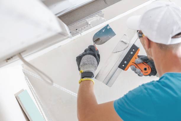  Blauvelt, NY Mold Removal Pros